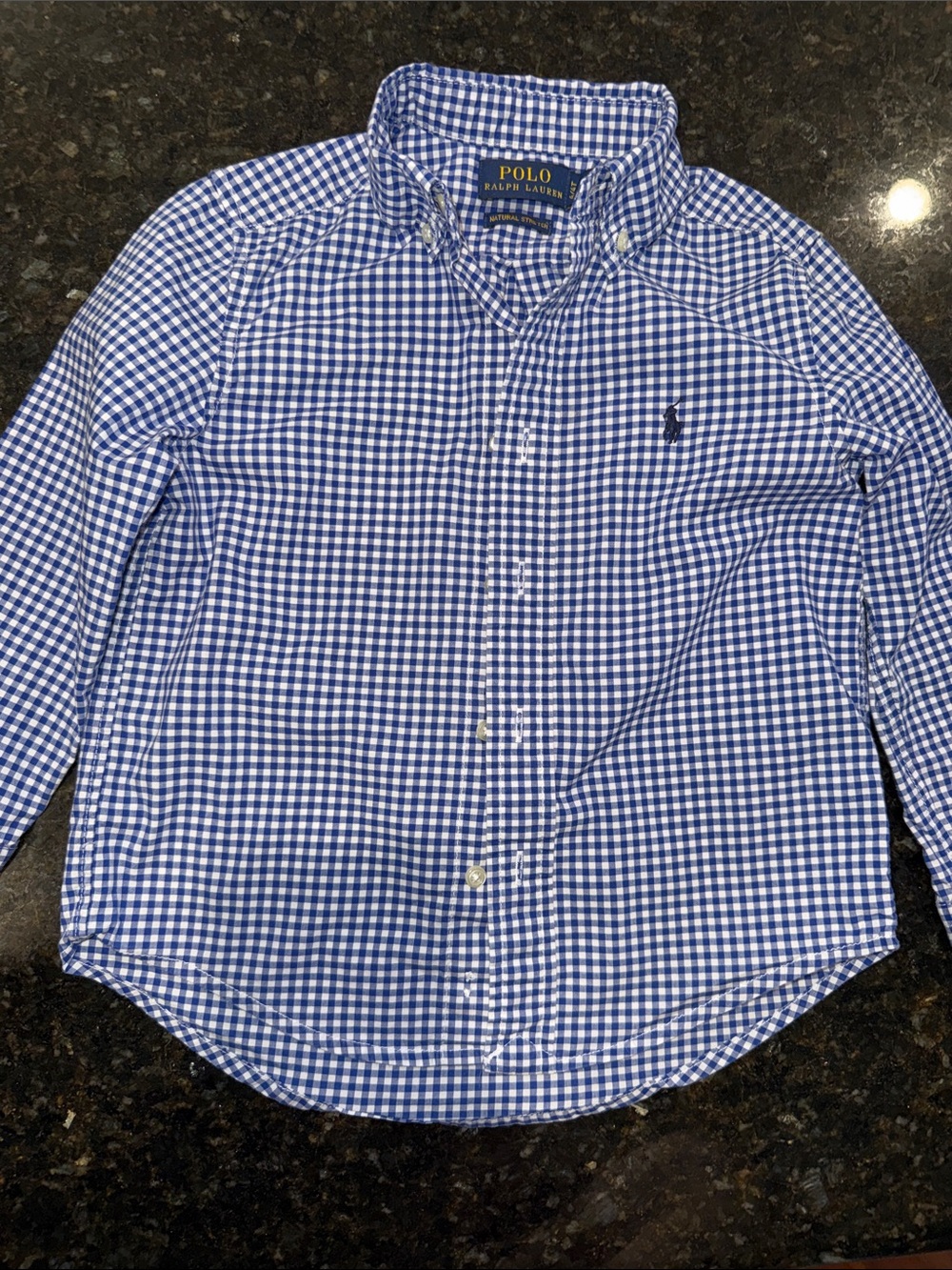 Ralph Lauren Blue and White Gingham Button-Down Shirt Boys Size 4